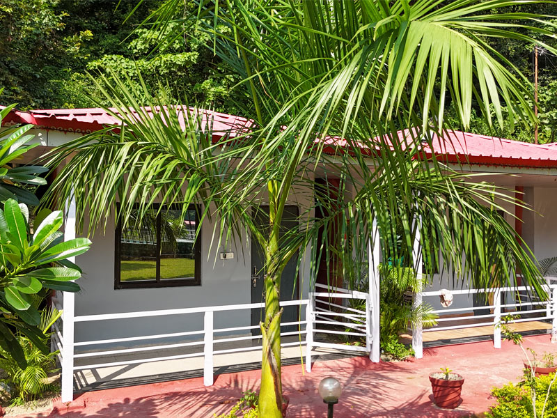 Camping in Rishikesh